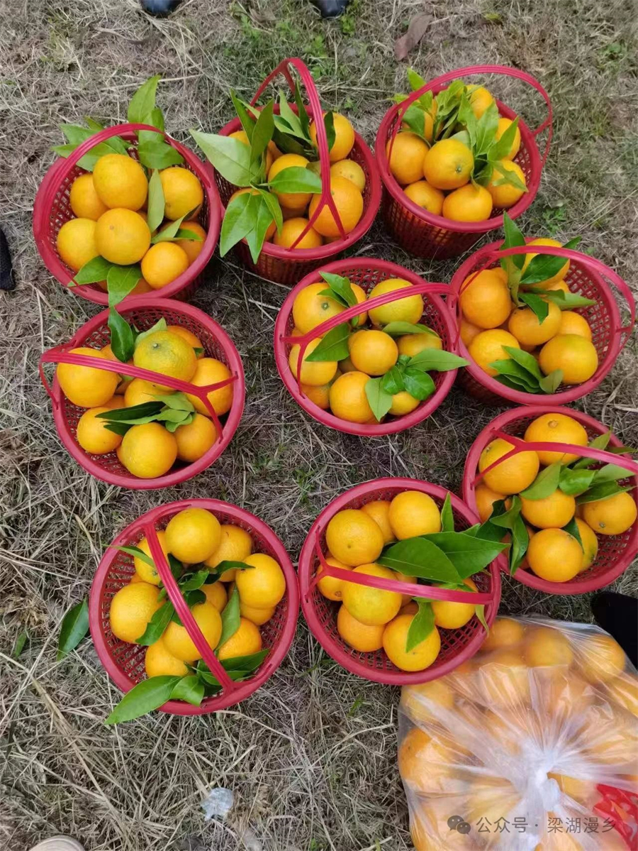 1728610272565486.jpg 微信图片_20241011090946.jpg