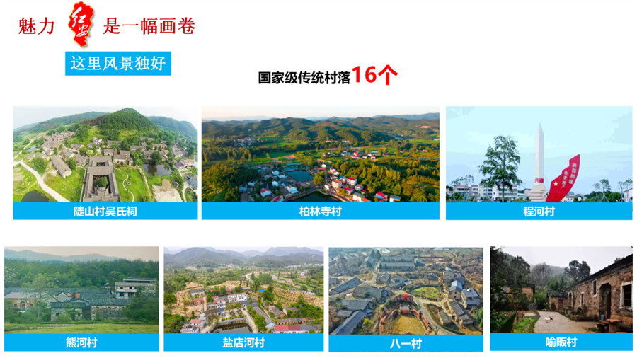 微信图片_20241106094520.jpg