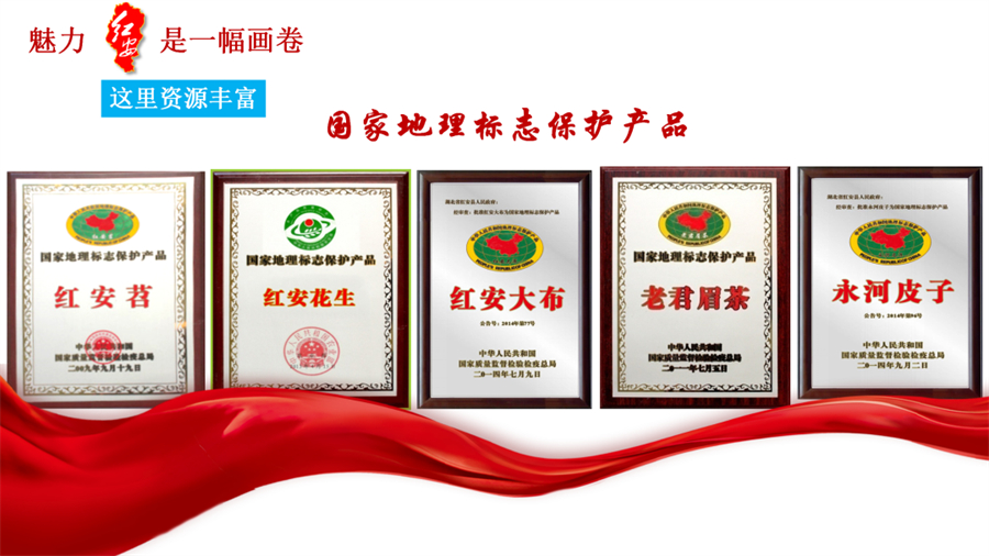微信图片_20241106094531.jpg