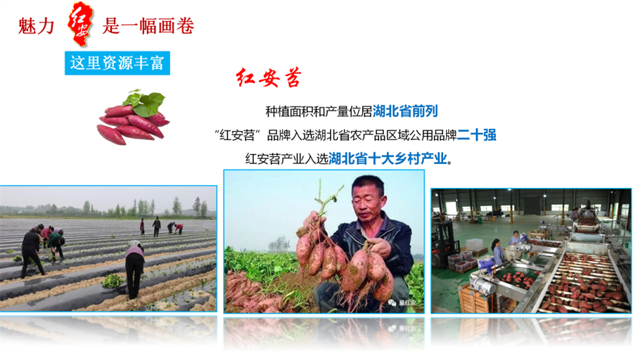 微信图片_20241106094535.jpg