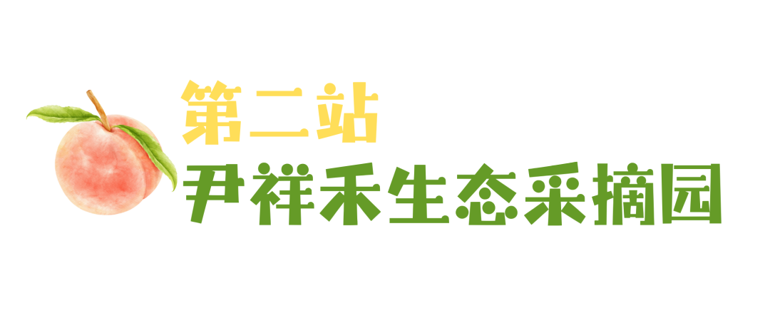 10010.jpg