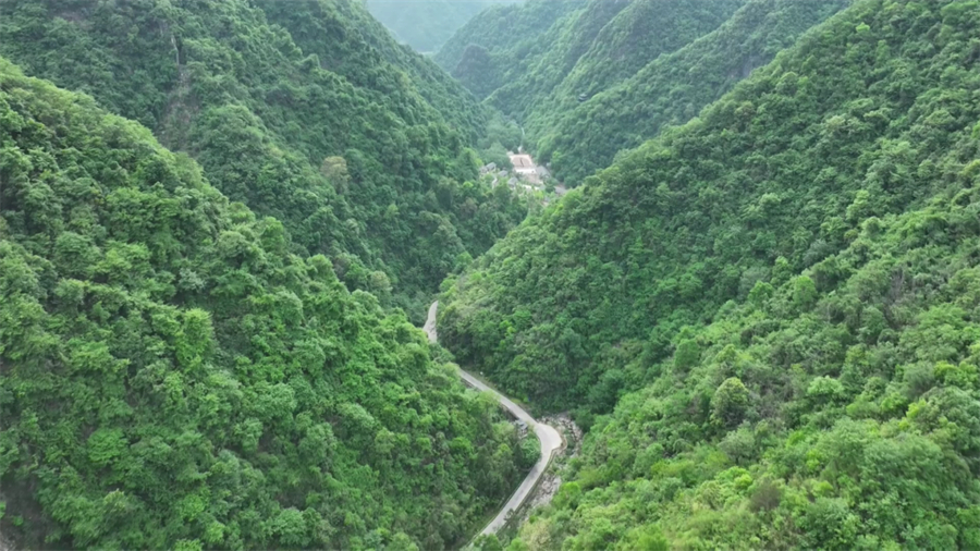 微信图片_2025-09-25_095618_066.jpg