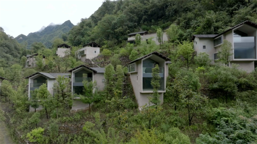 微信图片_2025-09-25_095632_506.jpg