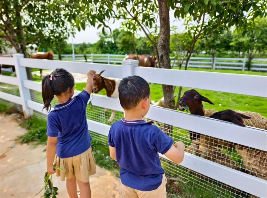 1759132969466152.jpg 微信图片_2025-09-29_153902_201.jpg