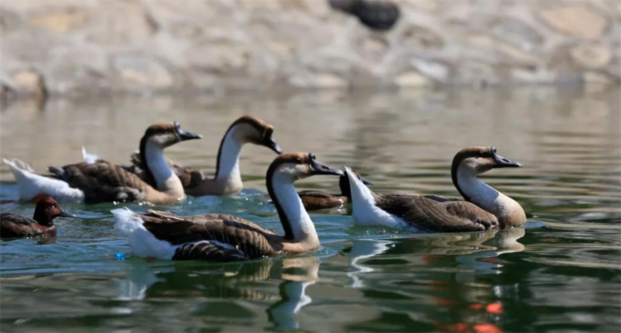 1759133026143309.jpg 微信图片_2025-09-29_153932_176.jpg