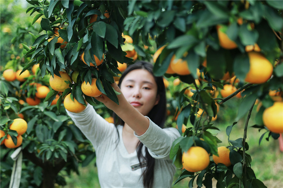 1761725838673269.jpg 微信图片_2025-10-22_181422_108.jpg