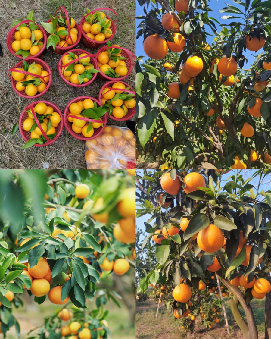 1761725983305101.jpg 微信图片_2025-10-22_181438_012_副本.jpg