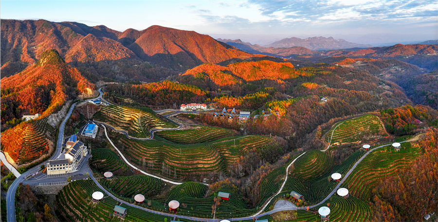 1761874210354960.jpg 微信图片_2025-10-31_090434_002.jpg