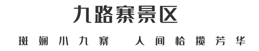 1761874241864769.jpg 微信图片_2025-10-31_090437_913.jpg