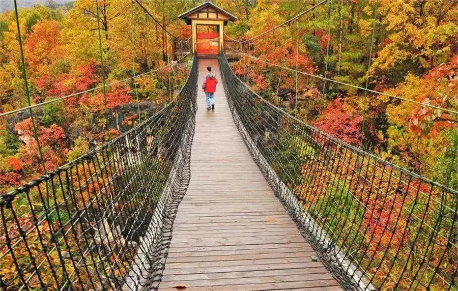 1761874256601866.jpg 微信图片_2025-10-31_090439_689.jpg