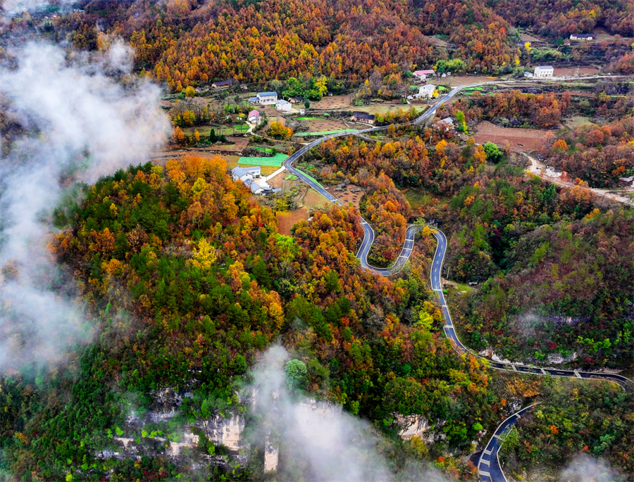 1761874268608958.jpg 微信图片_2025-10-31_090441_529.jpg