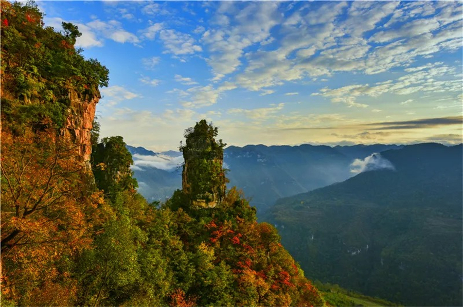 1761874299167526.jpg 微信图片_2025-10-31_090447_481.jpg