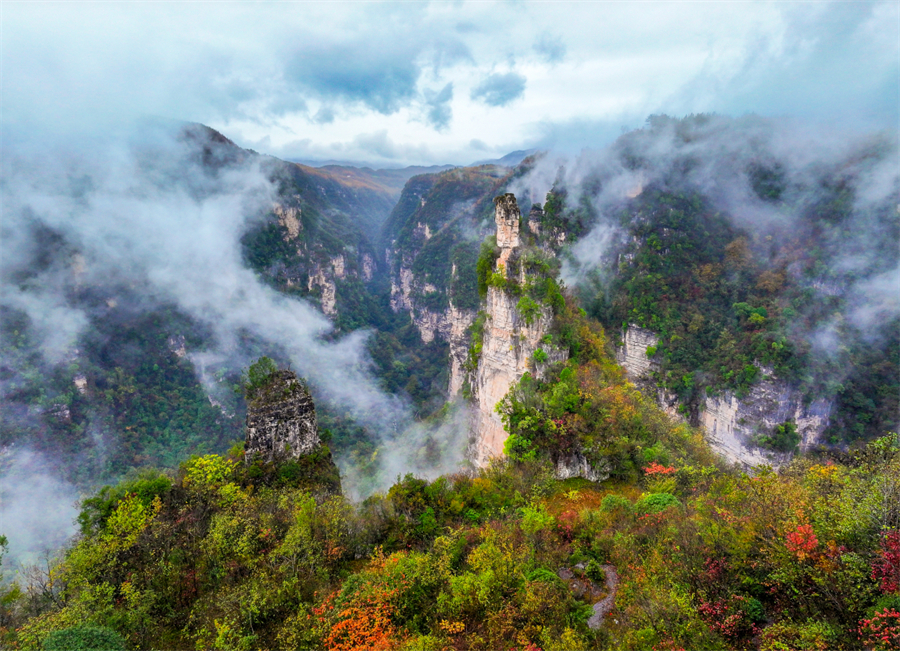 1761874307682889.jpg 微信图片_2025-10-31_090449_225.jpg