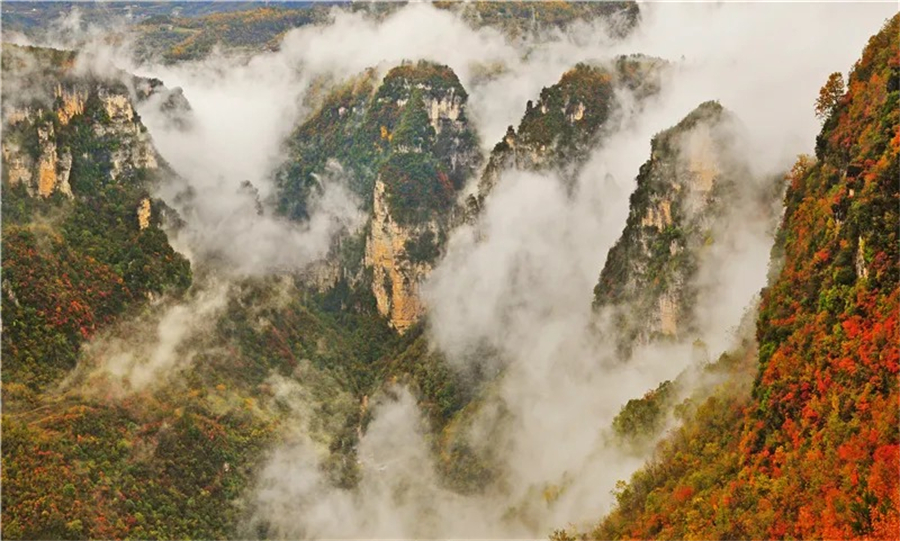 1761874320320629.jpg 微信图片_2025-10-31_090451_169.jpg