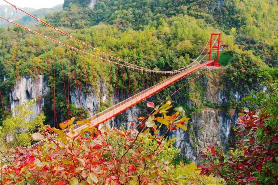 1761874340123233.jpg 微信图片_2025-10-31_090453_010.jpg