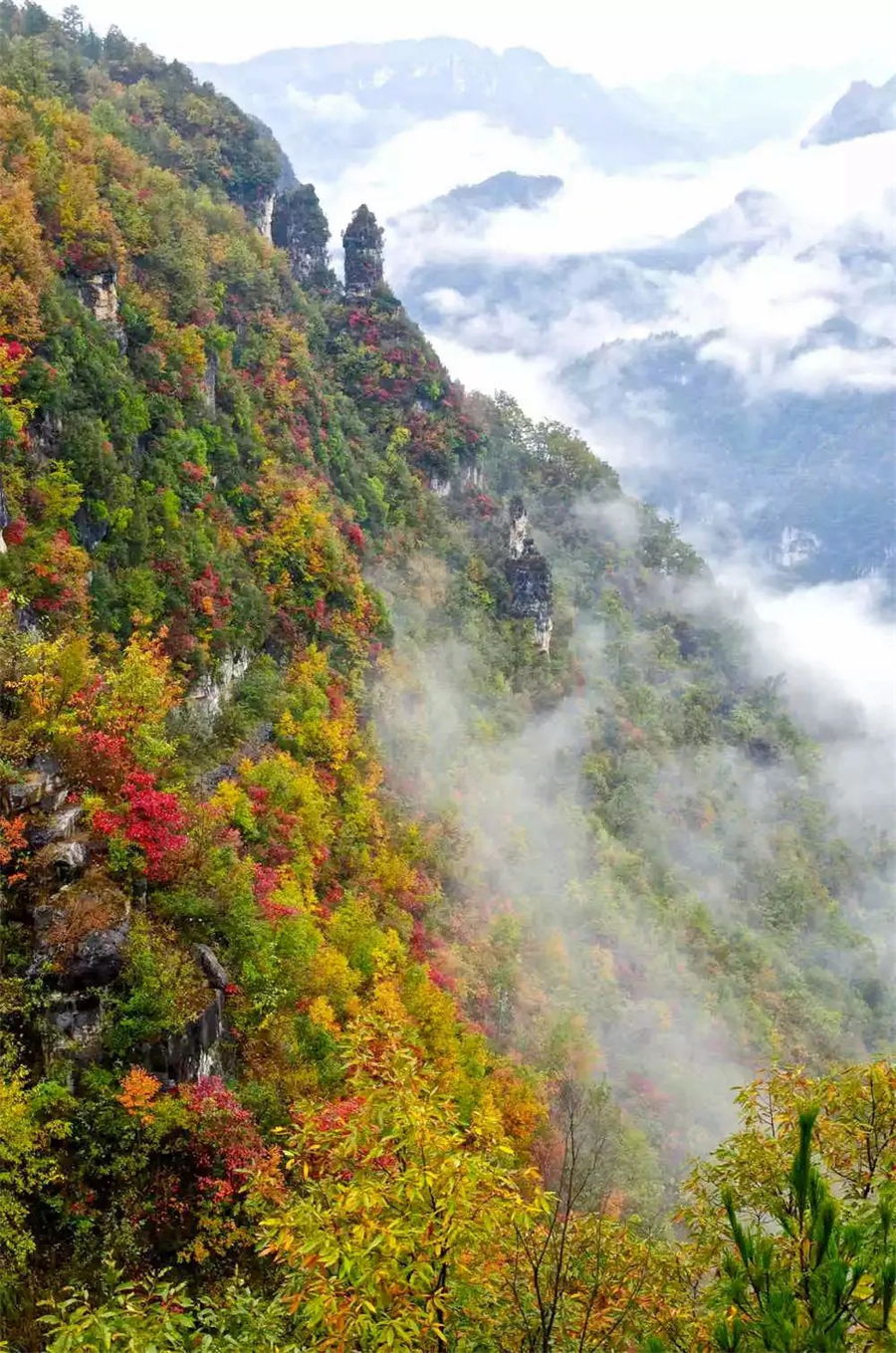 1761874349621776.jpg 微信图片_2025-10-31_090454_929.jpg