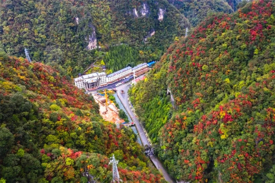 1761874763501567.jpg 微信图片_2025-10-31_090513_833.jpg