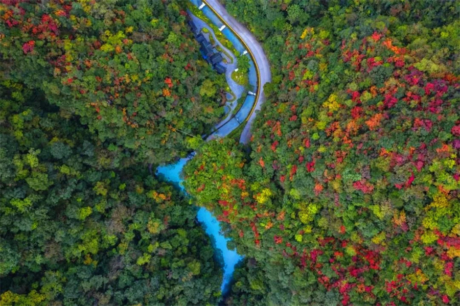 1761874808560951.jpg 微信图片_2025-10-31_090521_225.jpg