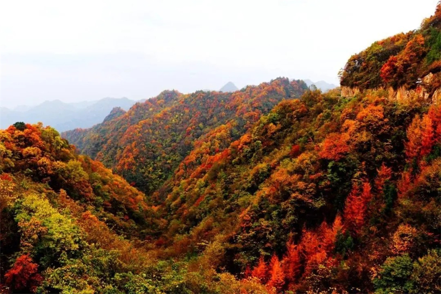 1761874834893597.jpg 微信图片_2025-10-31_090525_144.jpg