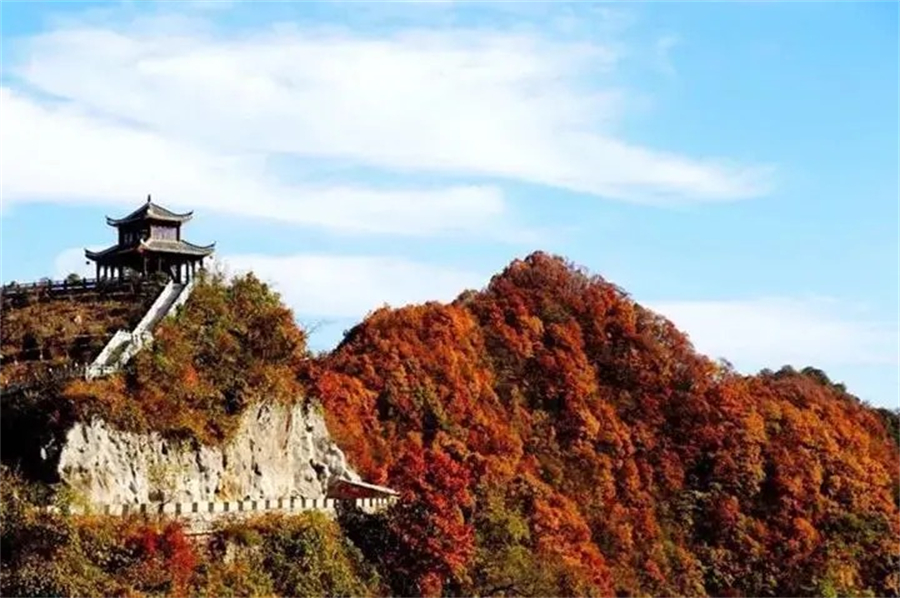 1761874843421829.jpg 微信图片_2025-10-31_090526_890.jpg