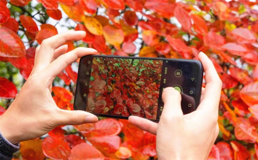 1761874850513536.jpg 微信图片_2025-10-31_090528_801.jpg