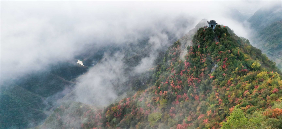 1761874903426920.jpg 微信图片_2025-10-31_090539_145.jpg