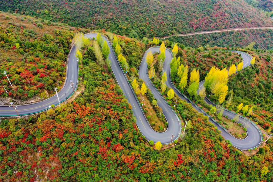 1761874931168076.jpg 微信图片_2025-10-31_090542_937.jpg