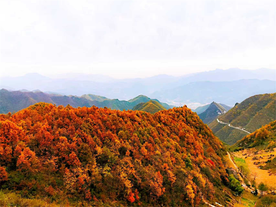 1761874967874064.jpg 微信图片_2025-10-31_090546_833.jpg