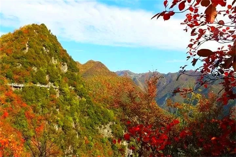 1761874981378458.jpg 微信图片_2025-10-31_090544_953.jpg