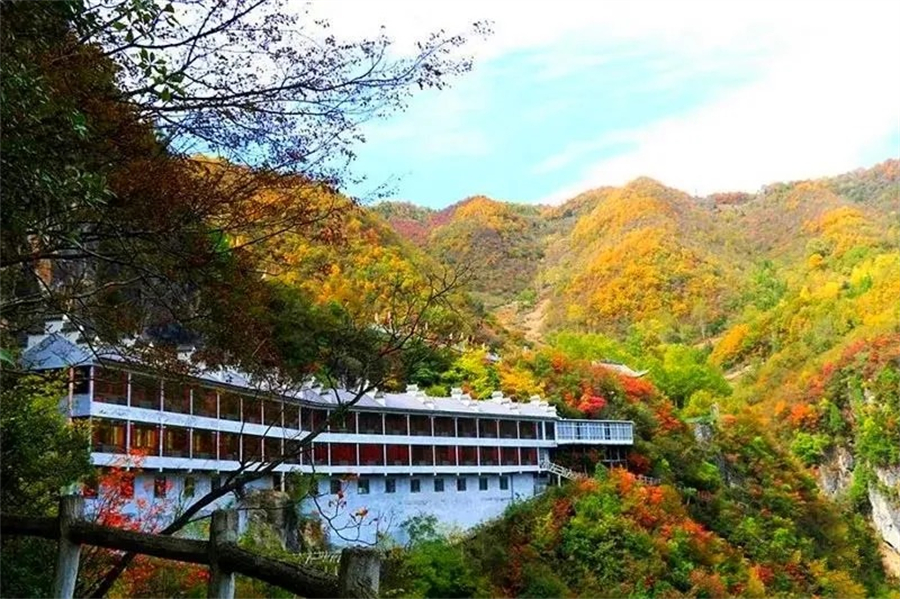 1761874995372192.jpg 微信图片_2025-10-31_090548_762.jpg