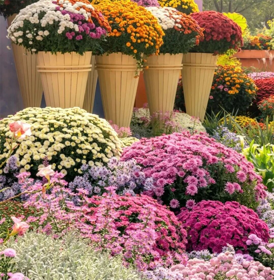 1761877148960475.jpg 微信图片_2025-10-31_100512_299.jpg