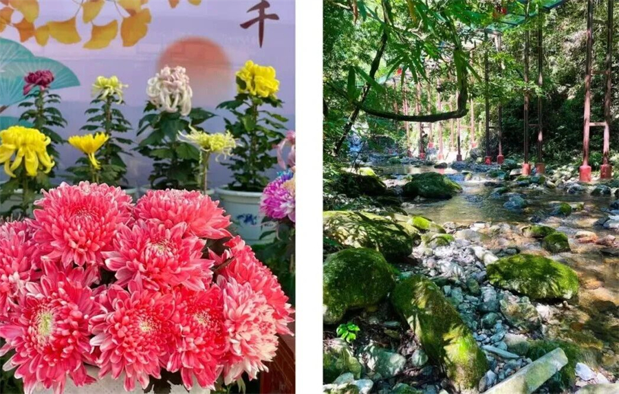 1761877155244697.jpg 微信图片_2025-10-31_100514_404.jpg