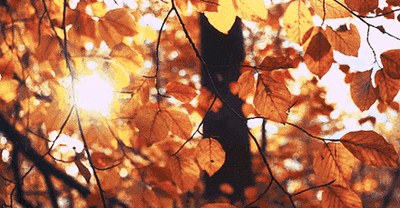 1761880434453510.jpg 微信图片_2025-10-31_105500_380.jpg