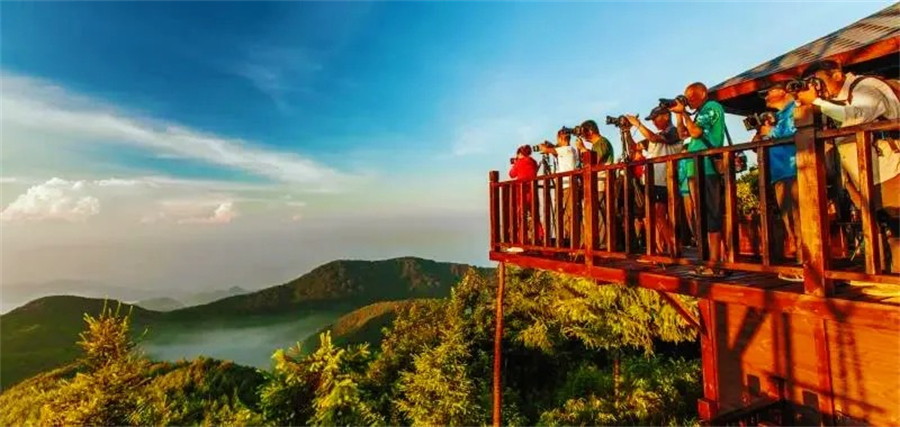 1761880444824266.jpg 微信图片_2025-10-31_105502_173.jpg