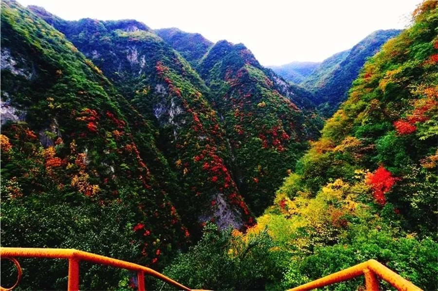 1761880514121857.jpg 微信图片_2025-10-31_105509_852.jpg