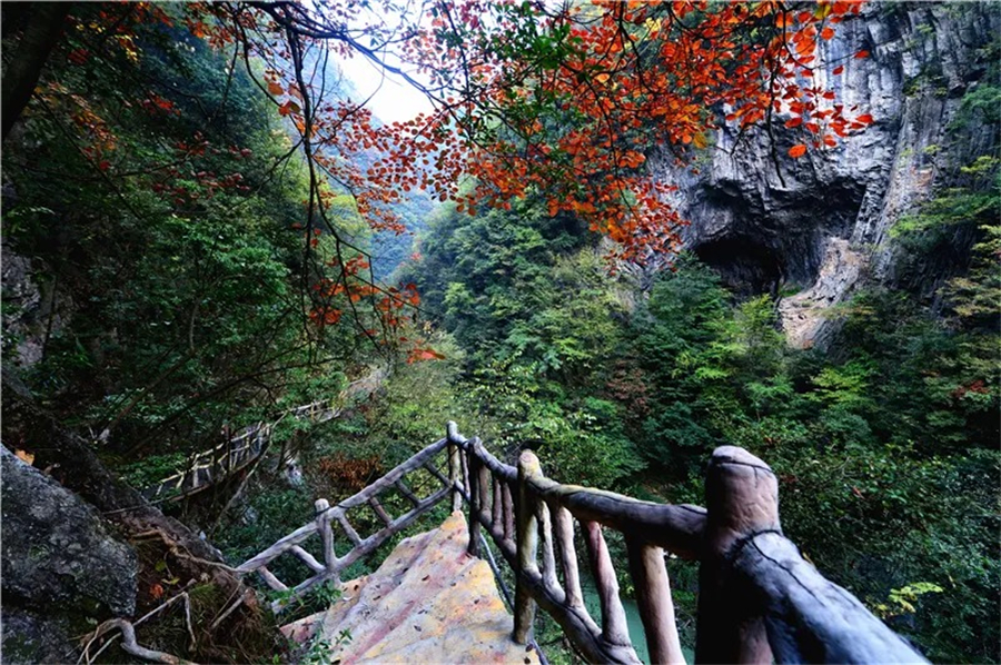 1761880549268603.jpg 微信图片_2025-10-31_105513_476.jpg