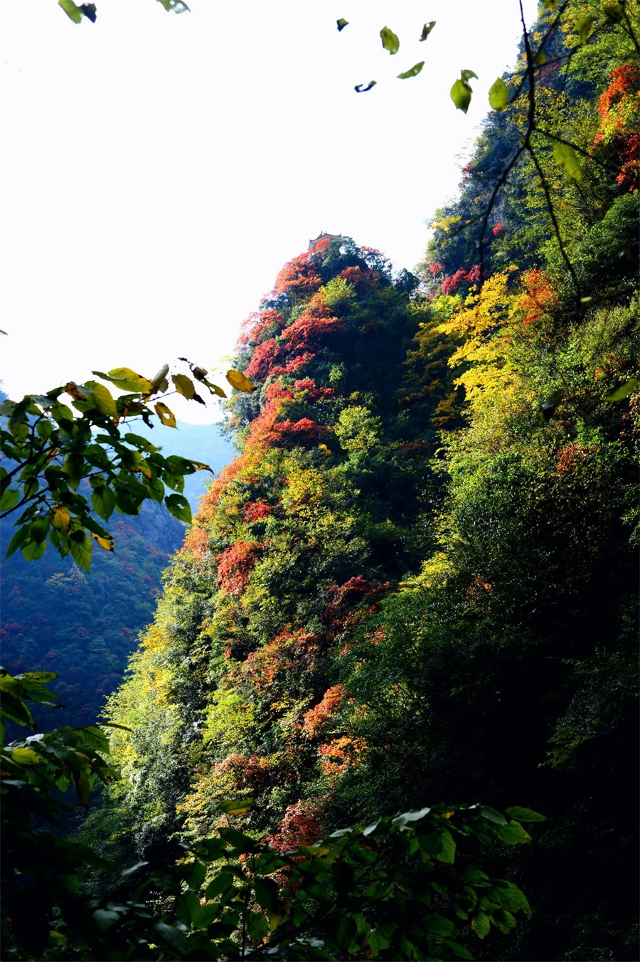 1761880559224779.jpg 微信图片_2025-10-31_105515_228.jpg