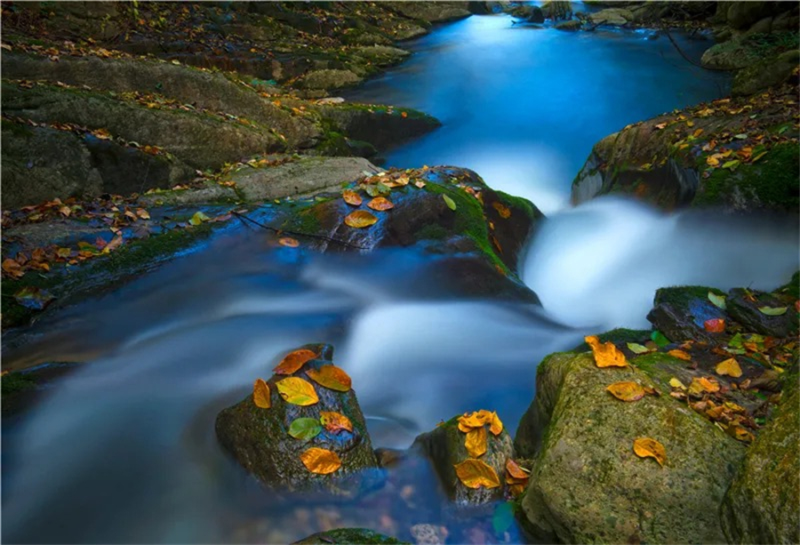 1761880576510173.jpg 微信图片_2025-10-31_105516_997.jpg