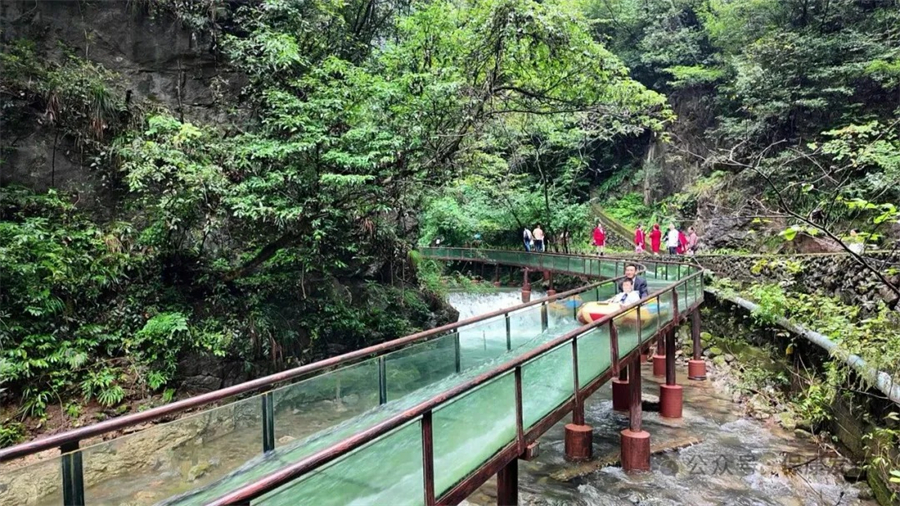 1761880602497340.jpg 微信图片_2025-10-31_105522_412.jpg