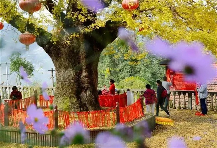 1761880923962663.jpg 微信图片_2025-10-31_105604_141.jpg