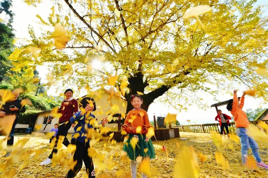 1761880939499735.jpg 微信图片_2025-10-31_105606_005.jpg