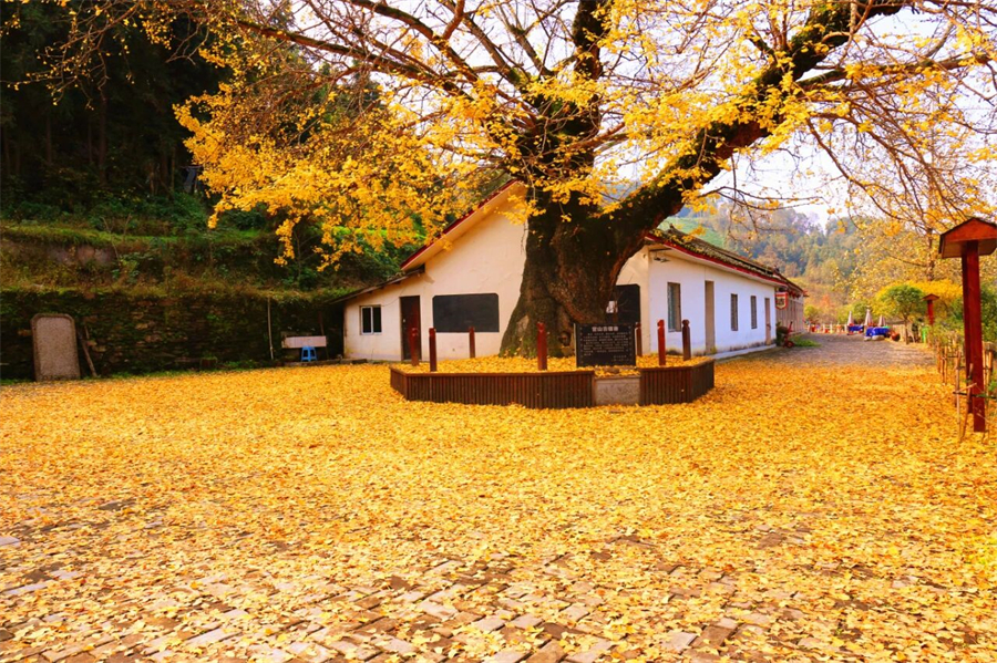 1761880985446171.jpg 微信图片_2025-10-31_105611_501.jpg