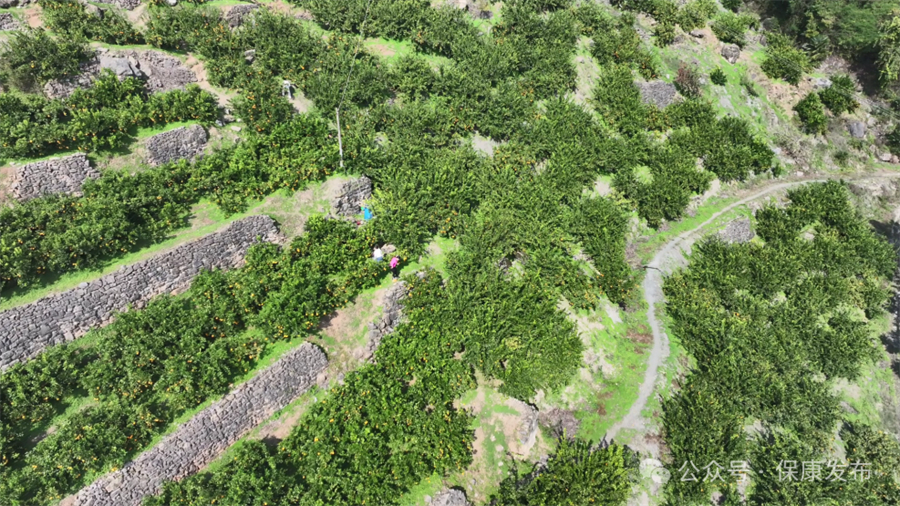 1763104603345377.jpg 微信图片_2025-11-14_143611_589.jpg