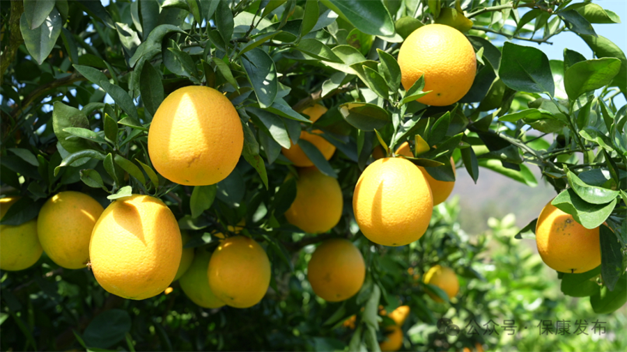 1763104610426682.jpg 微信图片_2025-11-14_143613_510.jpg