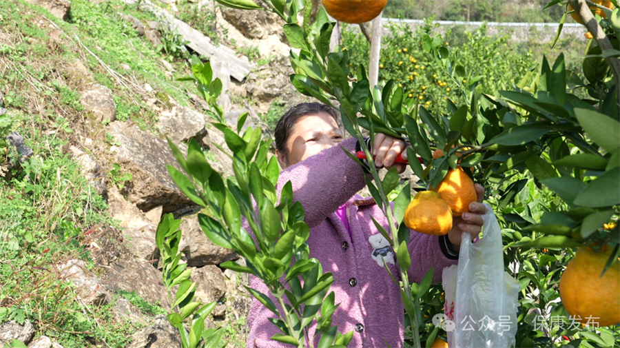 1763104724601815.jpg 微信图片_2025-11-14_143615_142.jpg