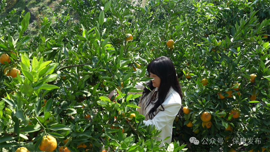 1763104748879815.jpg 微信图片_2025-11-14_143616_925.jpg