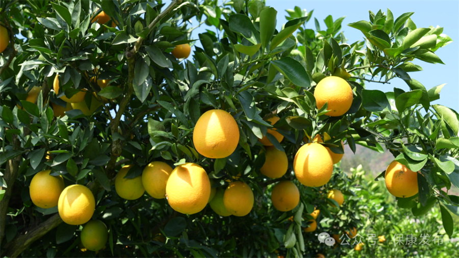 1763104758640883.jpg 微信图片_2025-11-14_143618_574.jpg