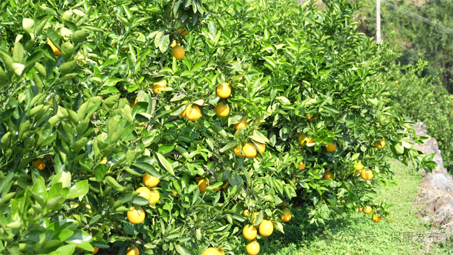 1763104773934980.jpg 微信图片_2025-11-14_143620_199.jpg