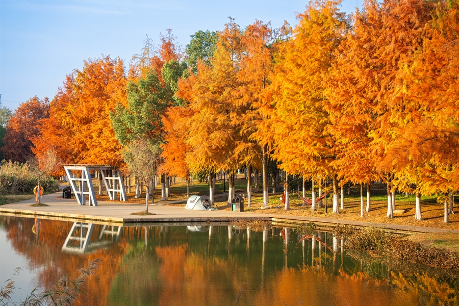 1765528358560660.jpg DSC01203_副本.jpg