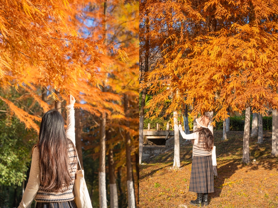 1765528372958520.jpg DSC01114_副本.jpg